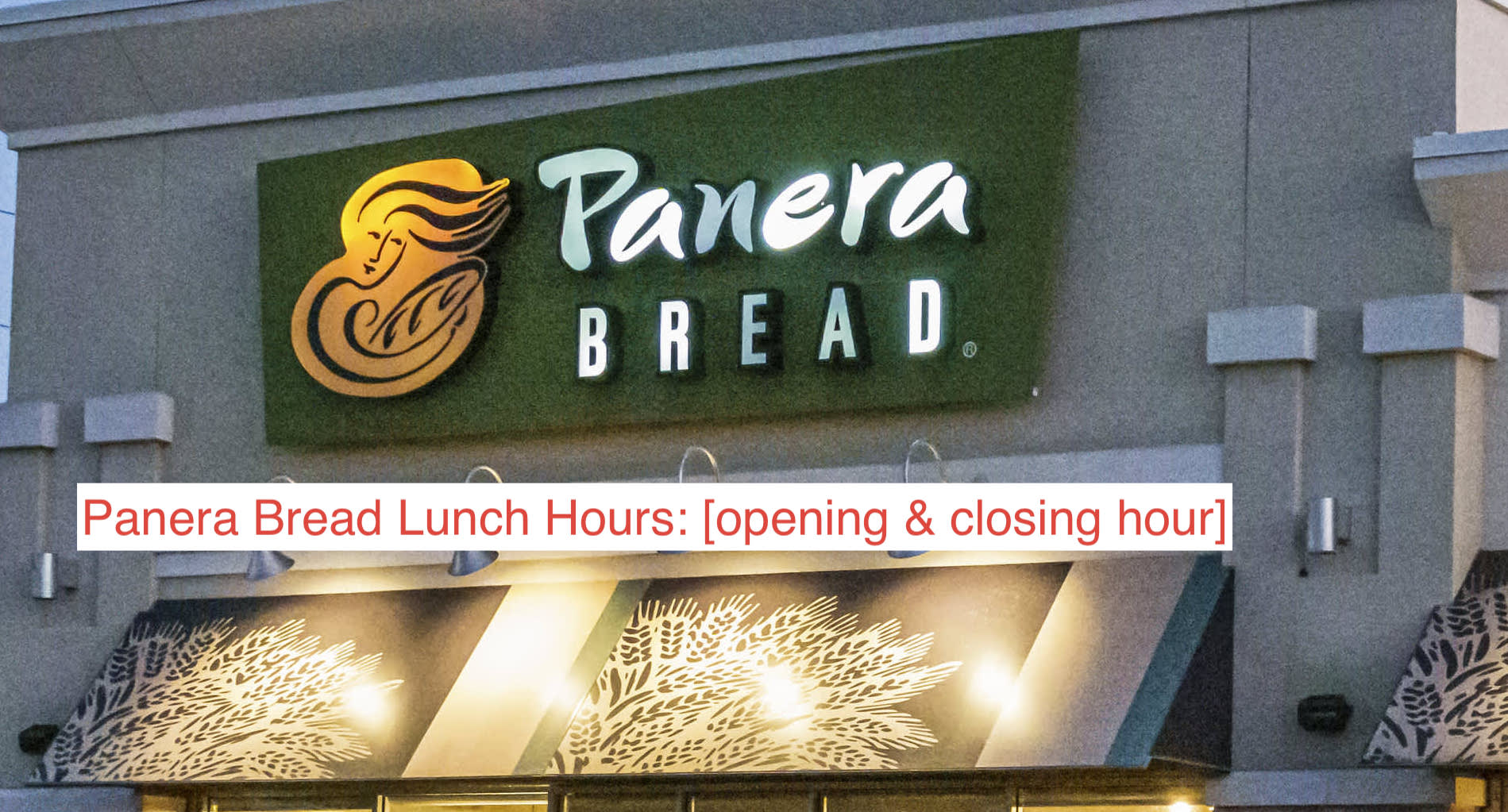 Panera Bread Lunch Hours