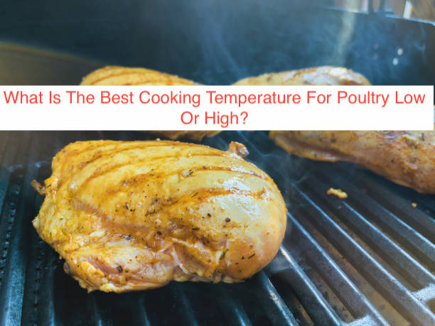 What Is The Best Cooking Temperature For Poultry Low Or High?