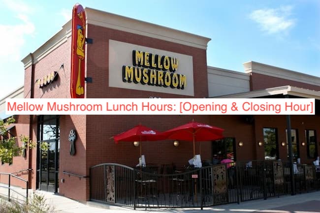 Mellow Mushroom Lunch Hours
