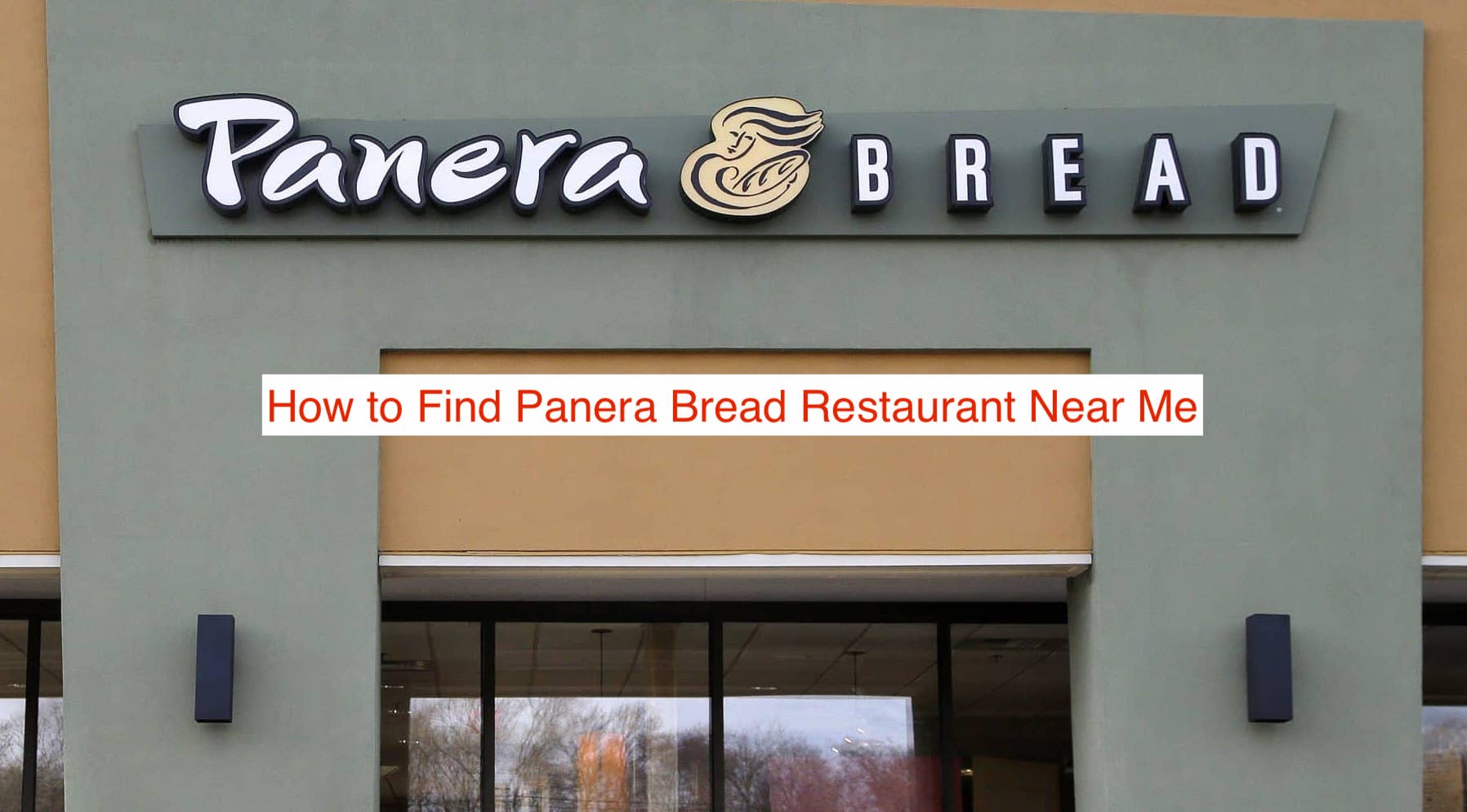 Panera Bread Restaurant Near Me